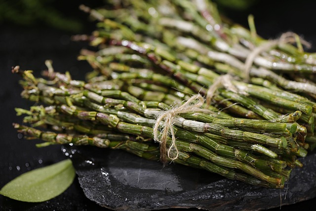 正宗霍山米斛龙头凤尾特征